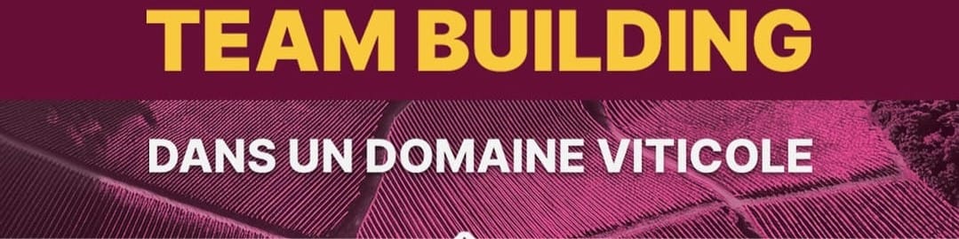 Bannière du profil LinkedIn de Celine