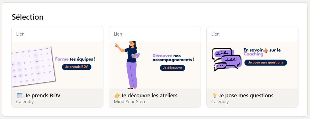 Section Sélection du profil LinkedIn MindYourStep