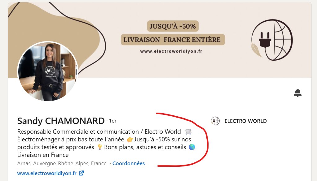 Le haut du profil LinkedIn de Sandy Chamonard