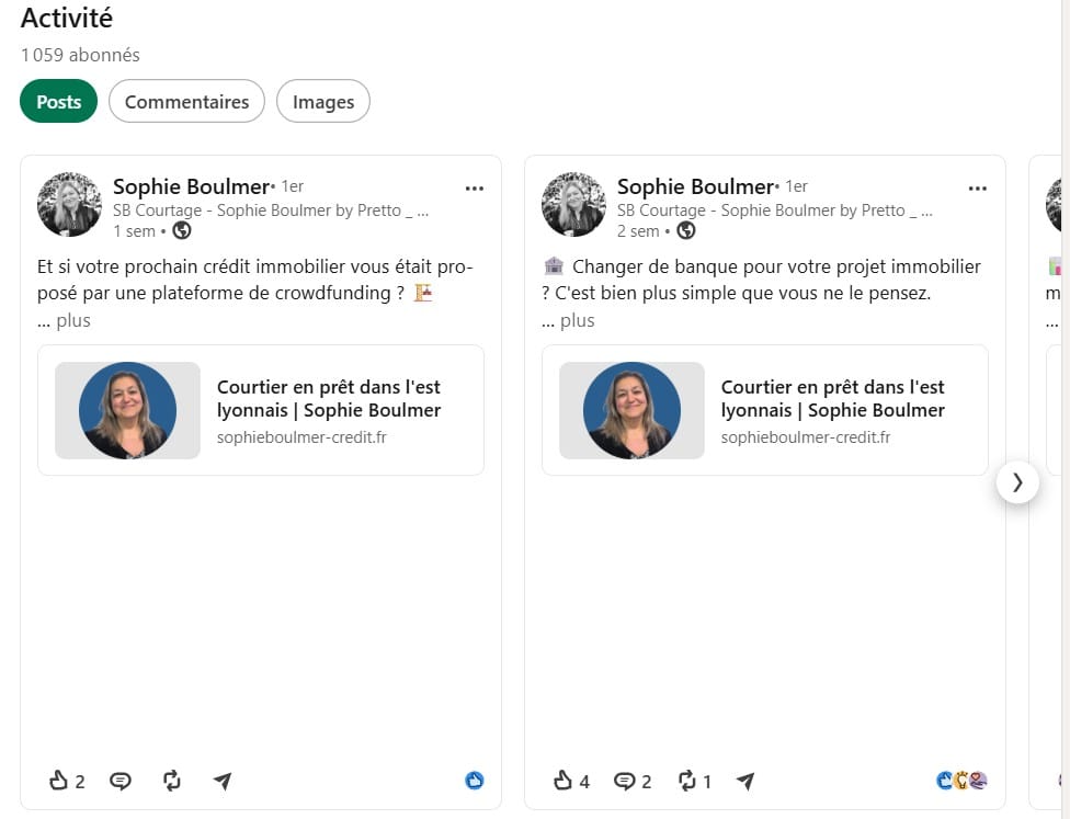 Publications LinkedIn de Sophie Boulmer